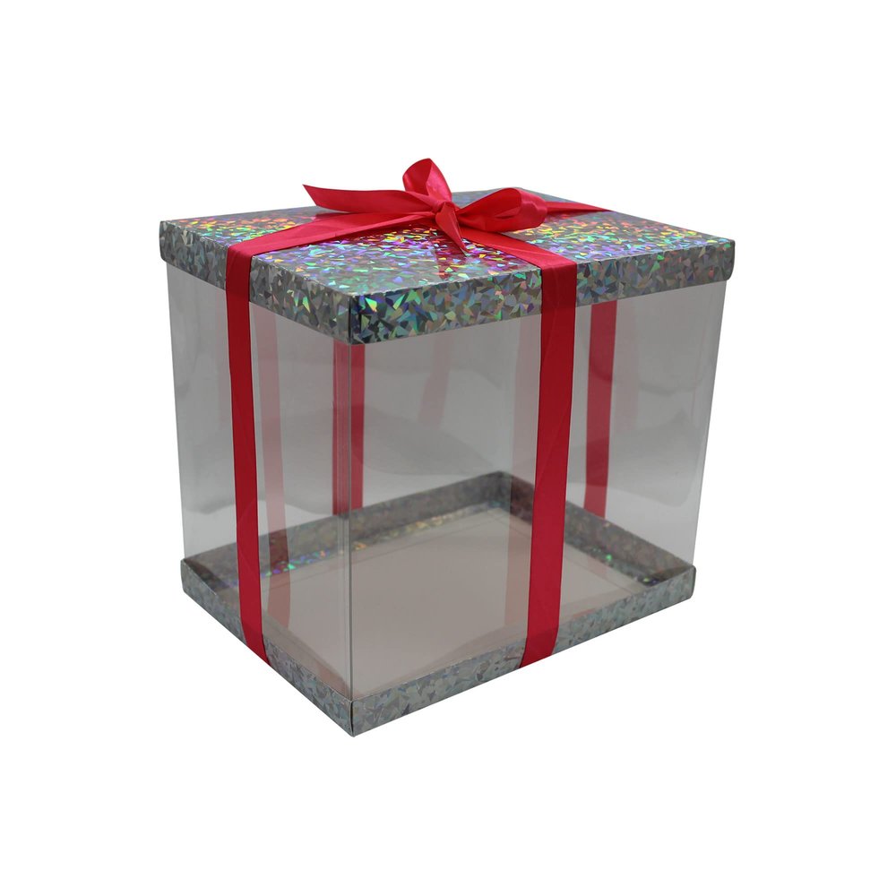 FELANAS 6 Pack Acetate Gift Boxes Iridescent Top with Ribbon | Wrapping Clothing Boxes for Gifts, Mailing, Clothes | 27 x 20 x 25.5 CM : 10.8" x 8" x 10" | Gift Cardboard Boxes (Silver/Pink Ribbon)