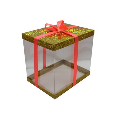 FELANAS 6 Pack Acetate Gift Boxes Iridescent Top with Ribbon | Wrapping Clothing Boxes for Gifts, Mailing, Clothes | 27 x 20 x 25.5 CM : 10.8" x 8" x 10" | Gift Cardboard Boxes (Golden/Light Pink Ribbon)