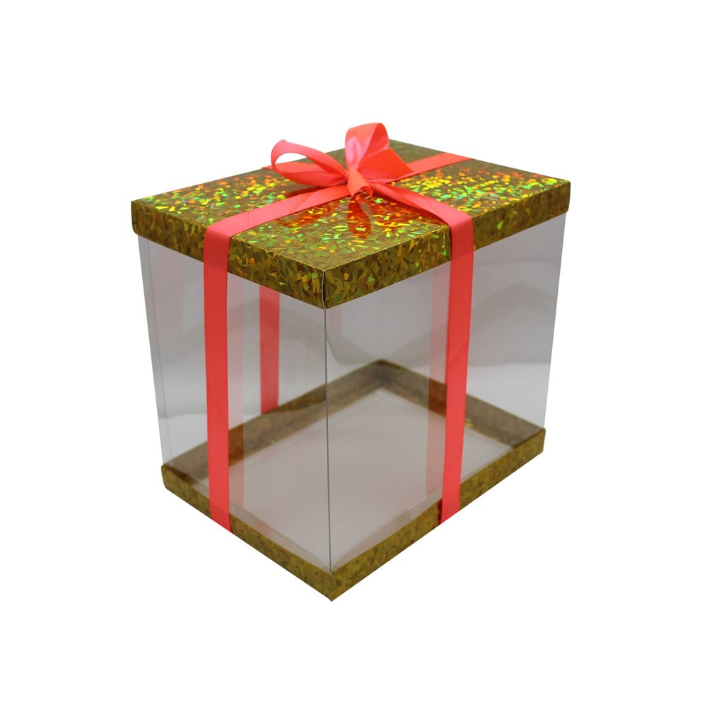 FELANAS 6 Pack Acetate Gift Boxes Iridescent Top with Ribbon | Wrapping Clothing Boxes for Gifts, Mailing, Clothes | 27 x 20 x 25.5 CM : 10.8" x 8" x 10" | Gift Cardboard Boxes (Golden/Light Pink Ribbon)