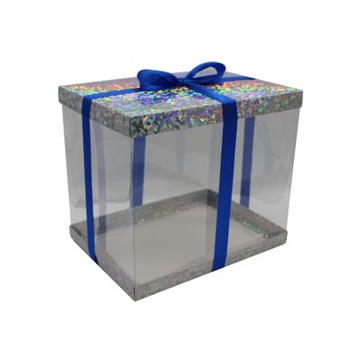 FELANAS 6 Pack Acetate Gift Boxes Iridescent Top with Ribbon | Wrapping Clothing Boxes for Gifts, Mailing, Clothes | 27 x 20 x 25.5 CM : 10.8" x 8" x 10" | Gift Cardboard Boxes (Silver/Dark Blue Ribbon)