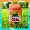 CBSe Yerba Mate 1.1 lb for a Hot or Cold Brew, Fresh and Organic  Orange (4 Pack) view 2