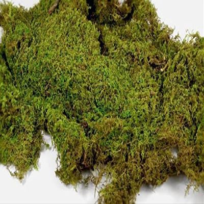 Sheet Moss (Gallon)