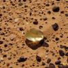Regulus Libyan Desert Glass Genuine Glass Cosmic Meteorite - Golden Tektite Healing Rock 80-100cts view 2