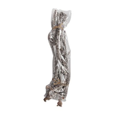 Mud Pie Preserved Banana Stems, Green, 21 1/2"