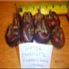 Water Chestnuts 16 Bulbs (Eleocharis dulcis), Sweet, Edible view 1