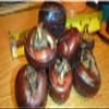 Water Chestnuts 16 Bulbs (Eleocharis dulcis), Sweet, Edible view 4