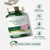 Carlyle Banaba Leaf Extract Capsules | 200 Count | Non-GMO, Gluten Free view 4