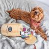 Coffee Barrel of All Flavored Single Serve Pods | Coffee Beanery view 3