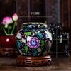 Cremation Urn Pet urn urns for Ashes Human Small Memorial Urns Pet Cremation Urn for Ashes Cremation Urns Cremation Ashes Urn WEWYQSJXBXF-211105(Color:Black) view 2