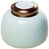Cremation Urn Pet urn urns for Ashes Urn for Ashes, Household Ceramic Ashes for Ashes, pet urn for Dogs and Cats WEWYQSJXBXF-211105(Size:B) view 1