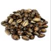 Caracol Aye | Tiger Eye Cowrie Shell | Caracoles Ojo De Tigre | 25 Shelsl Per Order | Caracol De OSHA view 1