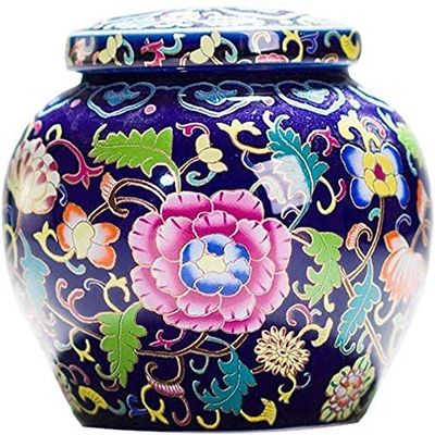 Cremation Urn Pet urn urns for Ashes Human Small Memorial Urns Pet Cremation Urn for Ashes Cremation Urns Cremation Ashes Urn WEWYQSJXBXF-211105(Color:Blue)