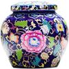 Cremation Urn Pet urn urns for Ashes Human Small Memorial Urns Pet Cremation Urn for Ashes Cremation Urns Cremation Ashes Urn WEWYQSJXBXF-211105(Color:Blue) view 1
