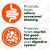 Align Dualbiotic, Prebiotics and Probiotics for Women and Men, Probiotics for Digestive Health, Prebiotics Help Nourish Good Bacteria, Natural Fruit Flavors, 90 Probiotic Gummies view 2