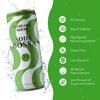 Soda Bossa Sparkling Soda, Guarana Flavor, Low-Calorie, Gluten Free & Guilt-Free Sparkling Soda Drink - Natural Soda - Craft Soda 8-12 FL OZ Cans/Box (Pack of 1 Box) view 3