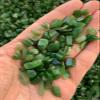 1/2 Lb Grade A++ Nephrite Jade Semi Tumbled Gemstone Chips 5-15 m - Natural Raw Stones Crystal for Tumbling, Cabbing, Fountain Rocks, Decoration, Wire Wrapping, Jewelry Making Supplies view 4