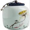 Cremation Urn Pet urn urns for ashes Garden Urns for Ashes Classic Keepsake Urns for Human Ashes Perfect Tribute to Honor Your Loved One for Small Dogs, Cats,Rabbits, Small Animals WEWYQSJXBXF-211107( view 1