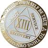 13 Year AA Medallion Reflex White Glitter Gold Plated Color Chip view 1