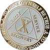 10 Year AA Medallion Reflex White Glitter Gold Plated Color Chip view 1