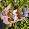 14 Kinds of Mini Crystal Moon Set Reiki Chakra Stone Healing Crystal Pocket Stone Home Decor Crystal Gift for Jewelry Making (Howlite) view 4