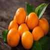 Best Earth Naturals - Vitamin C Gummies - Delicious Adult Gummies with 125 mg of Vitamin C - 30 Gummies (30-Day Supply) view 4