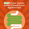 Align Gut Health & Immunity Probiotic, Daily Digestive Support for Women and Men, Helps Support Immune and Digestive Health, 14 Capsules view 3