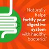 Align Gut Health & Immunity Probiotic, Daily Digestive Support for Women and Men, Helps Support Immune and Digestive Health, 14 Capsules view 4