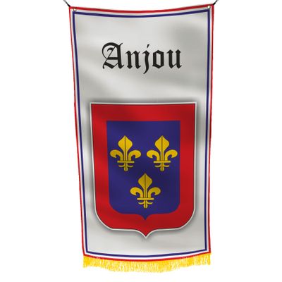 ANJOU France 3x5 feet Flag Banner Vivid Color Double Stitched Brass Grommets (ANJOU)