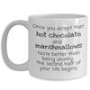Once You Accept That Hot Chocolate and Marshmallows Taste Better Than Being Skinny the Second Half of Your Life Begins view 1