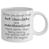 Once You Accept That Hot Chocolate and Marshmallows Taste Better Than Being Skinny the Second Half of Your Life Begins view 2