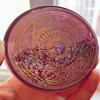 SUKPSY Colorful Glitter Contact Lens Case 5 in 1 Portable Quicksand Contact Lens Vision Care Container Kit with Mirror Tweezers Remover Tool Solution Bottle (A-Pink) view 2