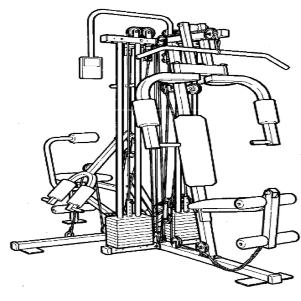 Icon Health & Fitness, Inc. Owner Manual 111820 Works W Weslo Electra - Wl821220 Strength System