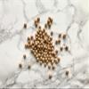 Organic Chickpeas Sultano - Bio Alberti Family Farm, Poggio Aquilone, Umbria - 1.1 lbs view 3