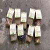 Organic Borlotti Beans - Bio Alberti Family Farm, Poggio Aquilone, Umbria - 1.1 lbs view 4