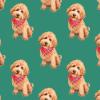 Apricot Brown Goldendoodle Puppy Wrapping Paper Premium Labradoodle Gift Wrap Doodle Birthday Party Decoration (12 foot x 30 inch roll) view 2