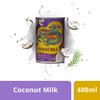 BLUE DRAGON Coconut Milk for Cooking - 400ml (Pack of 4) view 3