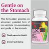 Organic Touch Iron Tablet with Folic Acid Vitamin C B12,Spirulina & Zinc Supplements As Haemoglobin Builder,Immunity,Stamina,Energy Boosters Chewable Tablet for Women Teenager Girls60 (Pack of 1) view 4