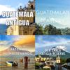Guatemalan Coffee Gift Box, Whole Bean, Fresh Roasted, 4 X 16-ounces, Guatemala Antigua, Guatemala Huehuetenango, Guatemala Natural, Guatemala Antigua Dark Roast view 2