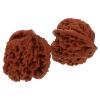 2pcs Walnut Exercise Balls Walnut Massage Ball Hand Balls Walnut Baoding Balls Chinese Handballs Plaything for Hand Therapy Supplies view 1
