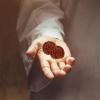 2pcs Walnut Exercise Balls Walnut Massage Ball Hand Balls Walnut Baoding Balls Chinese Handballs Plaything for Hand Therapy Supplies view 2