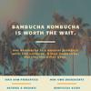 Bambucha Kombucha Guava Punch 12 Pack Case | Chef Crafted Flavor, 100% Raw Kombucha Tea Drink | Organic, Vegan, Gluten Free, Non GMO, Probiotic (12 Fl Oz Cans) view 4