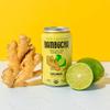 Bambucha Kombucha Thai Ginger 12 Pack Case | Chef Crafted Flavor, 100% Raw Kombucha Tea Drink | Organic, Vegan, Gluten Free, Non GMO, Probiotic (12 Fl Oz Cans) view 3