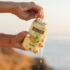 Bambucha Kombucha Thai Ginger 12 Pack Case | Chef Crafted Flavor, 100% Raw Kombucha Tea Drink | Organic, Vegan, Gluten Free, Non GMO, Probiotic (12 Fl Oz Cans) view 4