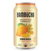 Bambucha Kombucha Mango Masala 12 Pack Case | Chef Crafted Flavor, 100% Raw Kombucha Tea Drink | Organic, Vegan, Gluten Free, Non GMO, Probiotic (12 Fl Oz Cans) view 1