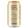 Bambucha Kombucha Mango Masala 12 Pack Case | Chef Crafted Flavor, 100% Raw Kombucha Tea Drink | Organic, Vegan, Gluten Free, Non GMO, Probiotic (12 Fl Oz Cans) view 2