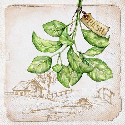 Boston International IHR 3-Ply Paper Napkins, 20-Count Lunch Size, Basil Cream