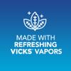 Vicks VapoInhaler 2 pack & Vicks Vapo Rub 3 pack view 4