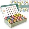 Teabloom - World's Finest Pyramid Tea Collection, 24 Varieties of USDA Certified Organic & Kosher Teas - Black Tea, Green Tea, White Tea, Oolong Tea, and Herbal/Fruit Tea Blends view 1