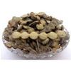 panihari Kikar Babool Phali Acacia Nolotica - 1 kg Pure Natural view 1