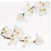 Gift Boutique 100 Magnolia Cocktail Napkins White Floral Blossom Disposable Paper Spring Flowers Beverage Hand Napkin view 4